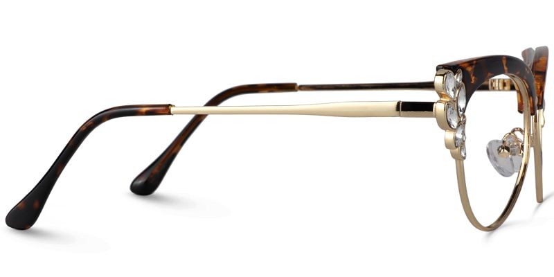 Hearn Tortoise Cateye Brille3