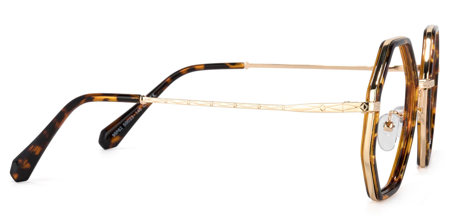 Nathaniel Tortoise Geometrische Brille3