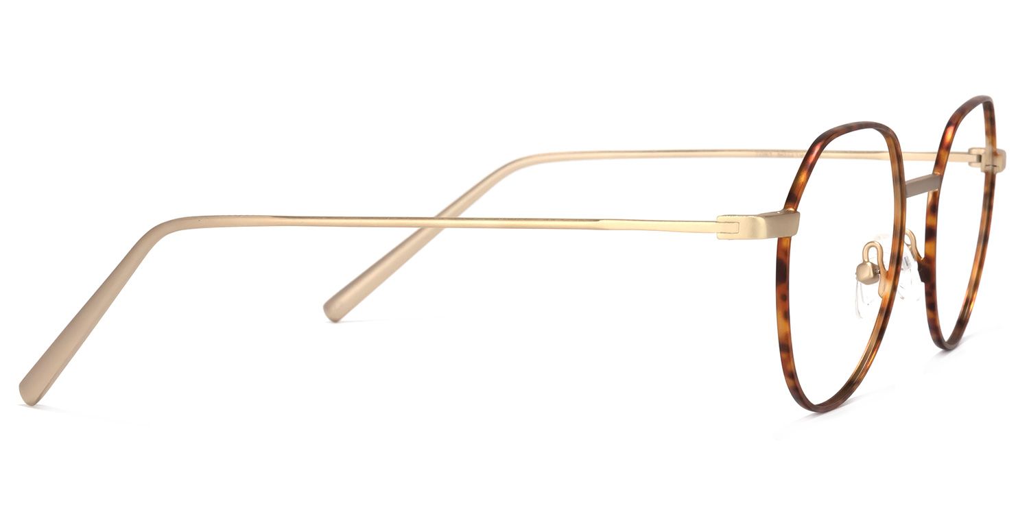 Wilder Gold Runde Brille3