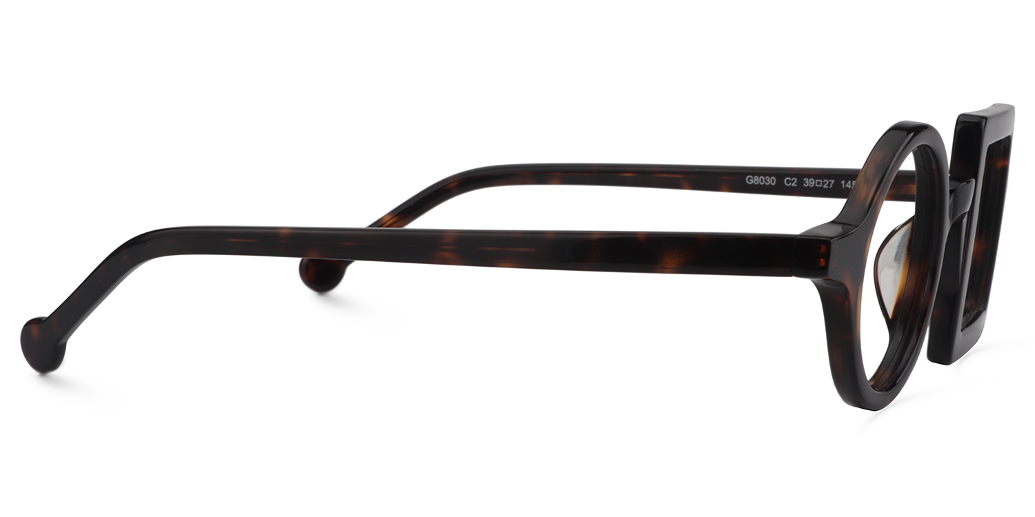 Paola  Schildkröte asymmetrische Brille5