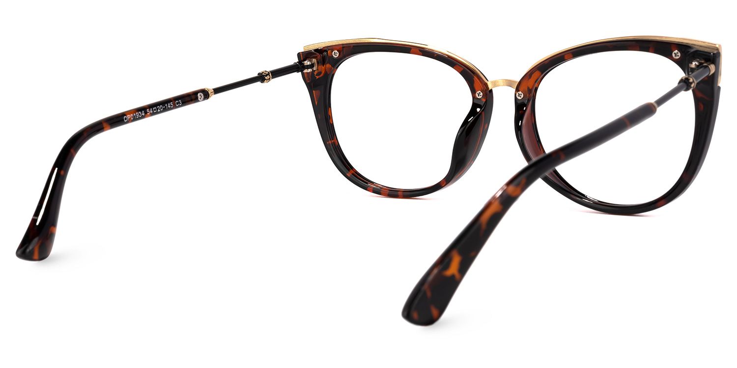 Dalton Tortoise Cateye Brille4