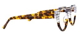Annaisha Kriatall Tortoise Geometrische Brille3