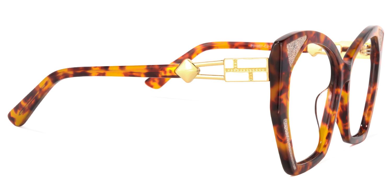 Cannes Tortoise Geometrische Brille3