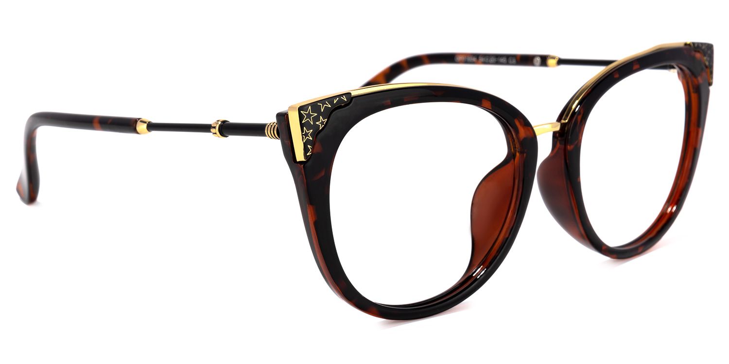 Dalton Tortoise Cateye Brille2