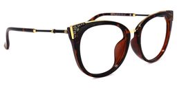 Dalton Tortoise Cateye Brille2