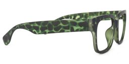 Colin Grün-Tortoise Rechteckig Brille3