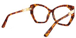 Cannes Tortoise Geometrische Brille4