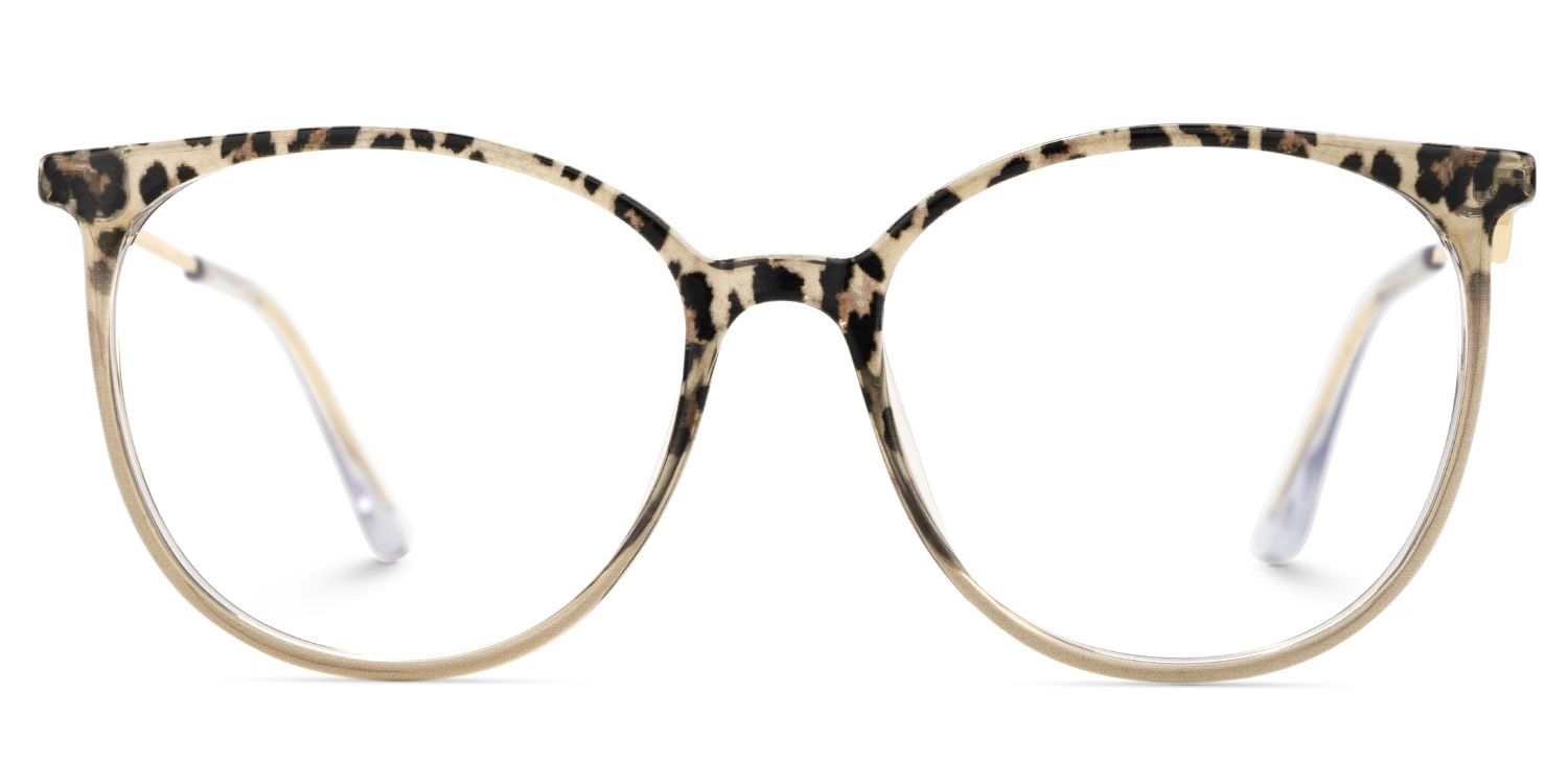 Babbage glasses 7