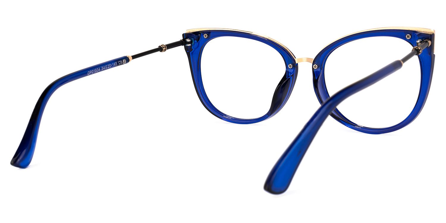 Dalton Blau Cateye Brille4